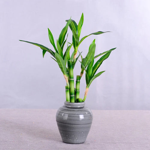 Artificial bamboo plants for indoor and outdoor decoration - vue 7 sur 13
