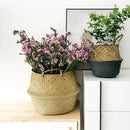hanging wicker basket for flowers or storage