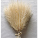 Set of 10 artificial pampas grass bouquets for interior decoration