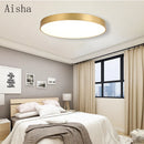 Ultra-thin LED ceiling light for elegant and modern interior decor