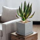 Artificial aloe vera succulents for indoor and outdoor decoration