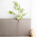 Artificial eucalyptus plant for autumn decor and DIY arrangements