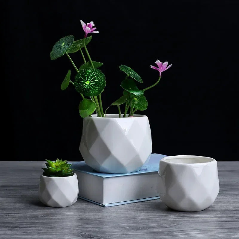 geometric ceramic flower pot for succulents