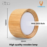 Modern LED ceiling light for indoor decor and lighting