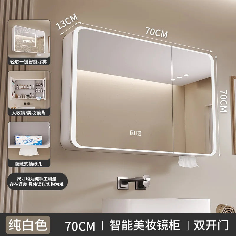 smart wardrobe with illuminated storage and separate toilet