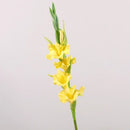 Artificial gladiolus flowers for party and office decoration