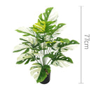 Artificial plants with large decorative leaves for indoors and offices
