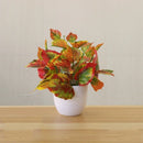 Artificial bonsai plant for indoor decoration