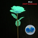 Luminous rose branch gift for Valentine's Day or Mother's Day