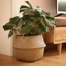 hanging wicker basket for flowers or storage