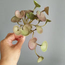 Artificial tropical foliage faux decorative bouquet