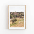 Spring floral canvas photography for wall decoration