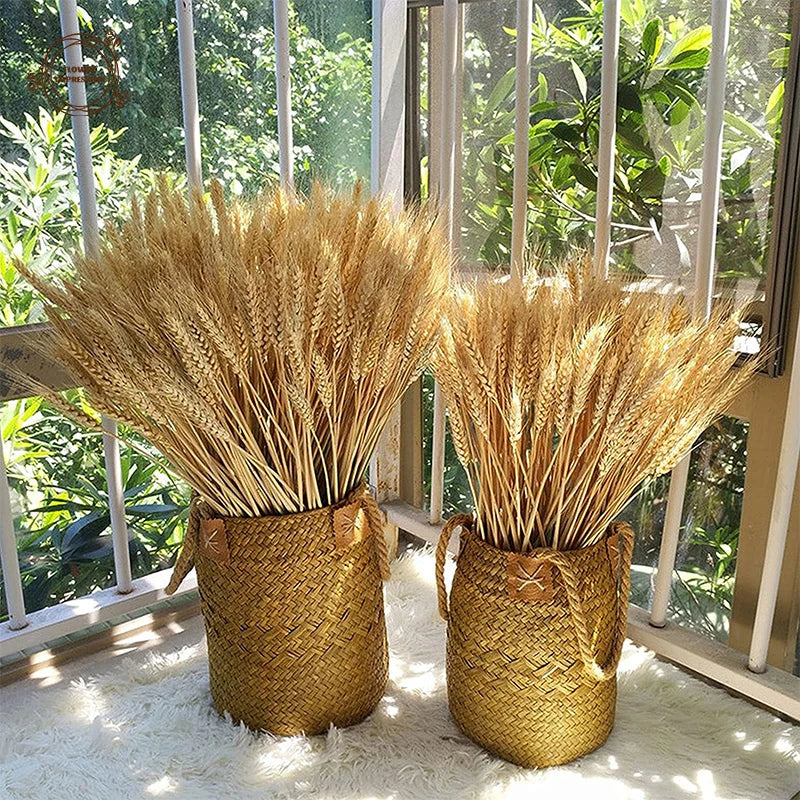 natural dried wheat stalks for party decoration and bouquet