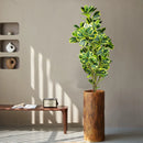Artificial ficus tree in plastic for outdoor decoration