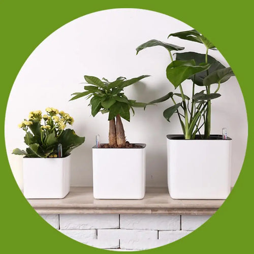 White Self Watering Planter, Water Indicator, Modern Decorative Planter Pot for all House Plants Flowers, Herbs, Vegetables - vue 6 sur 6