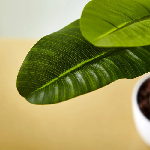 Artificial tropical palm tree in pot for indoor and outdoor decoration - vue 5 sur 9