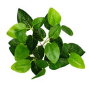 Artificial plants for wall and garden decoration