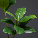 Large artificial magnolia plants for indoor garden decoration