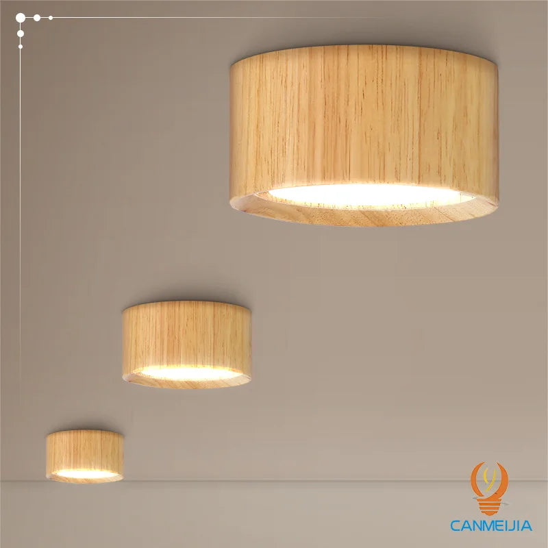 Modern LED ceiling light for indoor decor and lighting