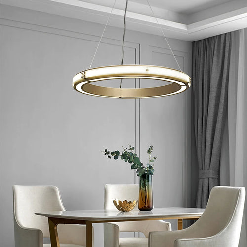 Modern iron pendant light for elegant interior decor