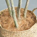 Artificial coconut tree large green plant for indoor decoration