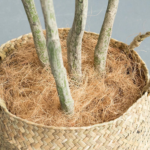 Artificial coconut tree large green plant for indoor decoration - vue 11 sur 15