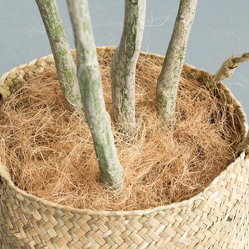 Artificial coconut tree large green plant for indoor decoration - vue 10 sur 15
