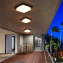 Waterproof ceiling light for garden, courtyard, balcony and outdoor decor