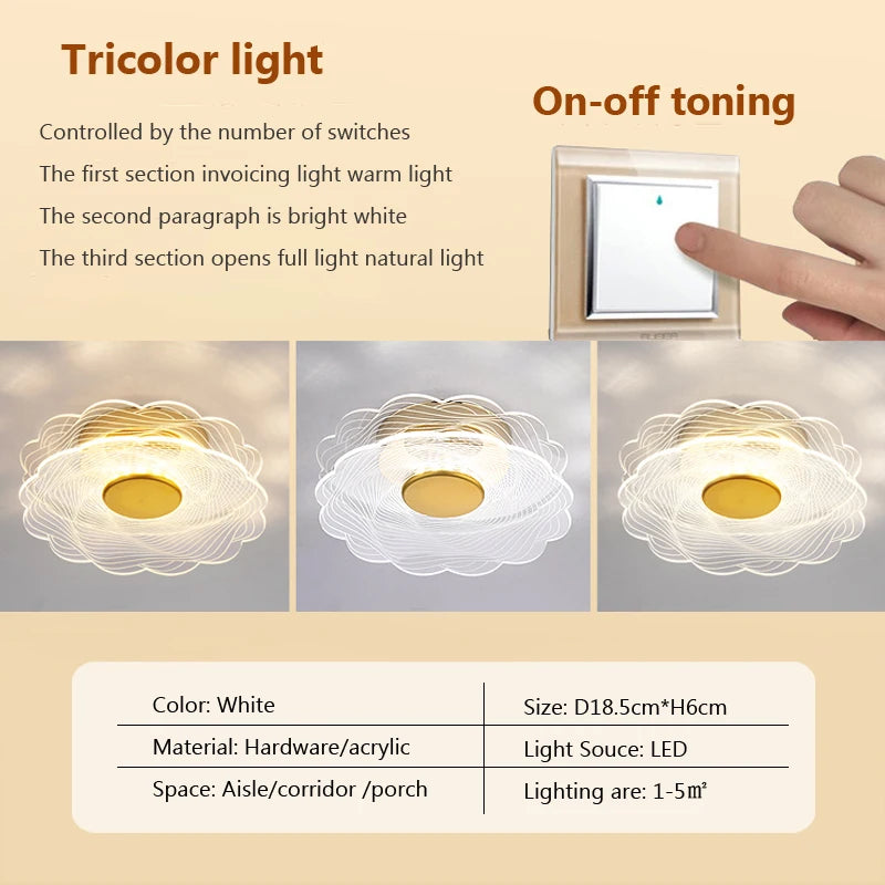 Modern acrylic LED ceiling light for decorative interiors - vue 10 sur 18