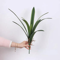 Artificial clivia leaves in soft rubber for indoor decoration