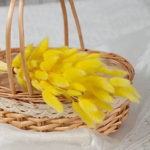 Dried bunny tail grass bouquet for festive decorations - vue 15 sur 23