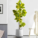 Artificial banyan branch with magnolia leaves for decoration