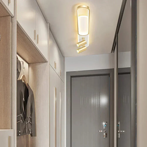 Modern LED ceiling light with spotlight for home decor - vue 7 sur 26