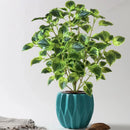Artificial eucalyptus tropical plant for indoor decoration