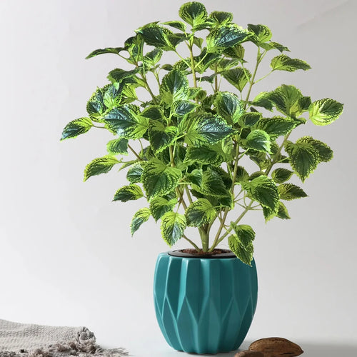 Artificial eucalyptus tropical plant for indoor decoration