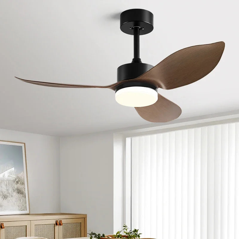 Modern ceiling light with remote control and fan