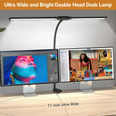 Double head LED desk lamp