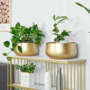 round gold metal flower pot for plants and decorations