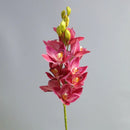 Realistic cymbidium artificial flowers from New Zealand, lifelike orchid decoration