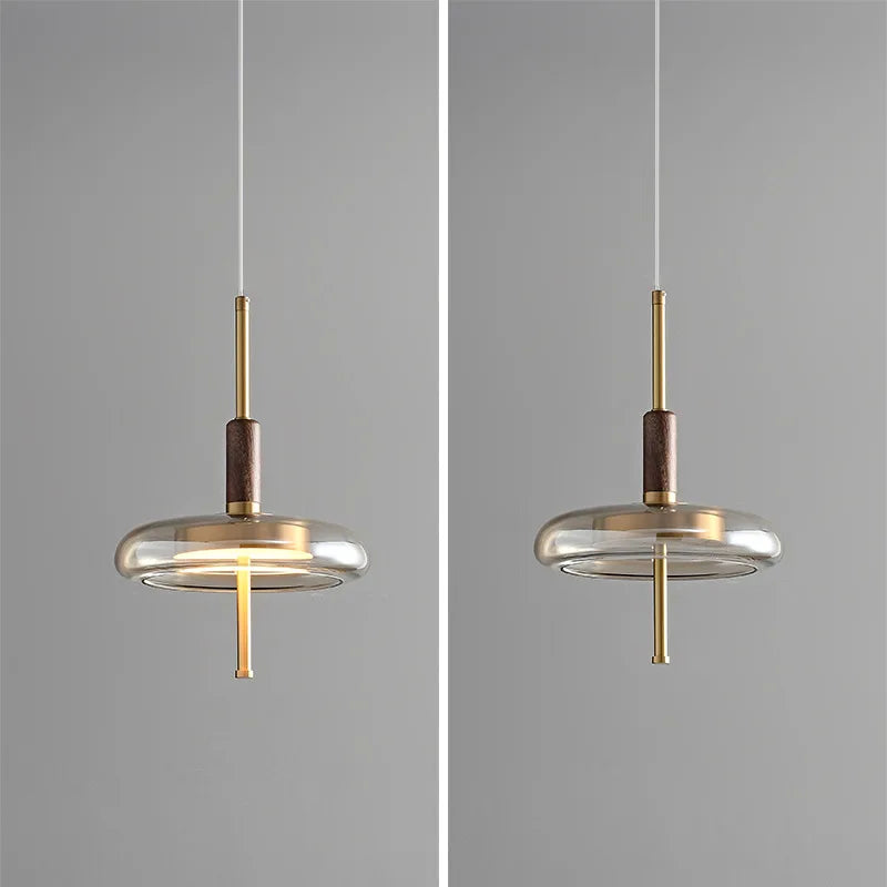Modern glass pendant light with decorative LED lighting