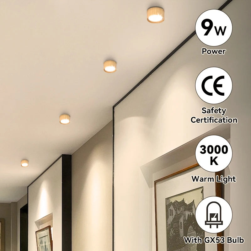 Modern LED ceiling light for indoor decor and lighting