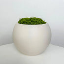 Nordic decorative plant pot in plastic and ceramic for indoor use