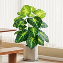 Artificial tropical turtle with decorative branches and leaves