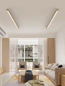 Long linear ceiling light for corridor, hallway and balcony, without main light