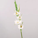 Artificial gladiolus flowers for party and office decoration