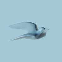 Creative seagull wall decoration