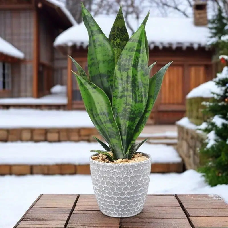 Artificial succulent plants for indoor and outdoor decoration