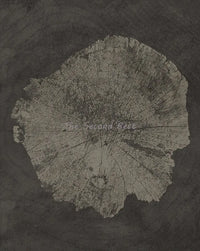 Abstract tree rings modern wall art
