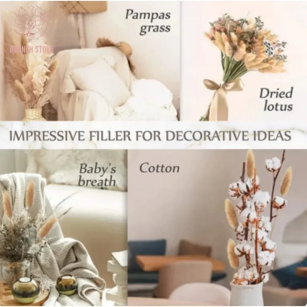 Dried bunny tail grass bouquet for festive decorations - vue 6 sur 23