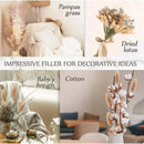 Dried bunny tail grass bouquet for festive decorations